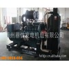 現(xiàn)貨供應(yīng)優(yōu)質(zhì)斗山大宇發(fā)電機(jī)組，帕金斯發(fā)電機(jī)組，德國(guó)曼發(fā)電機(jī)組