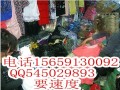 wc連衣裙批發牛仔褲批發服裝批發尾貨批發 (1)